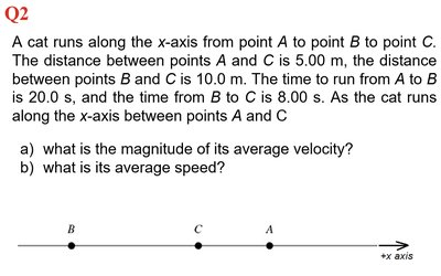 Cat running along x-axis problem