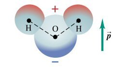 Water molecule as a dipole