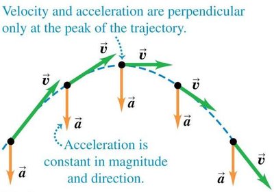 Projectile motion: velocity and acceleration vectors