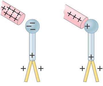 Electroscope charged by conduction and induction