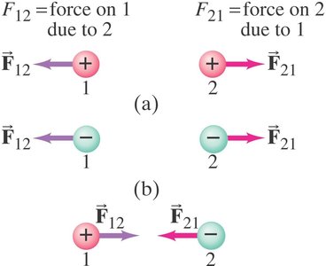 Direction of forces between charges
