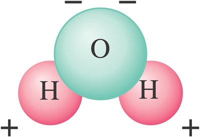 Polar molecule: water (H2O)