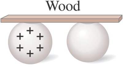 Charge distribution in wood