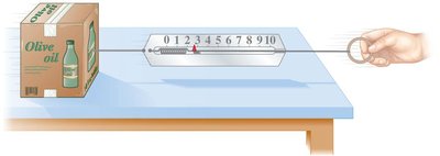 Measuring force with a spring scale