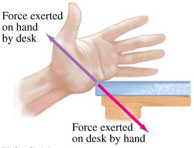 Hand and desk demonstrating Newton's third law