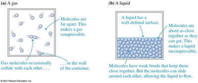 Molecular models of gases and liquids