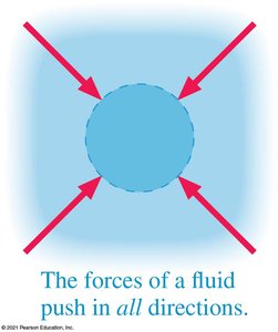 Pressure forces in a fluid push with equal strength in all directions