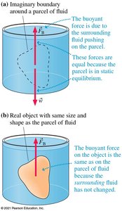 Buoyant force on an object equals that on an equal volume of fluid