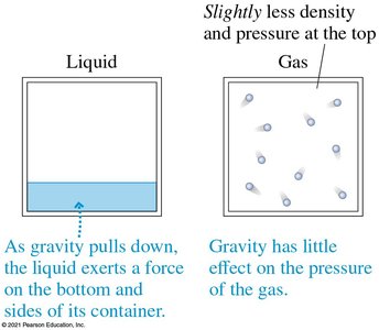 Gravity affects the pressure of fluids