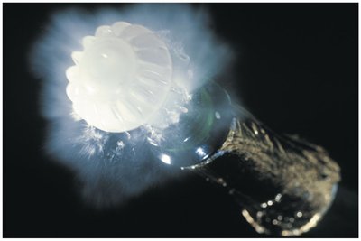 Champagne cork popping as an example of rapid adiabatic expansion