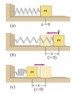Mass-spring system at equilibrium, stretched, and compressed