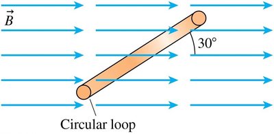 Circular loop at an angle to the magnetic field