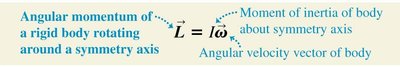 Angular momentum of a slice of a rigid body