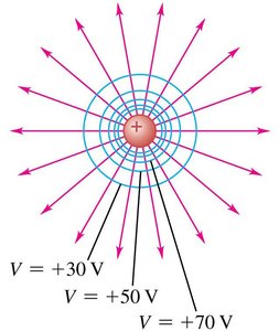 Equipotential surfaces and field lines for a positive charge