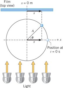 Diagram of a circle with projection lines showing amplitude and angle theta, relating to SHM
