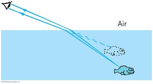 Refraction causing apparent displacement in water