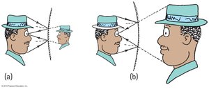 Convex and concave mirror image formation