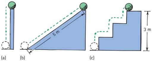 Potential energy of a ball elevated by different paths