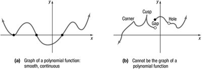 Smooth and continuous vs. non-polynomial graphs