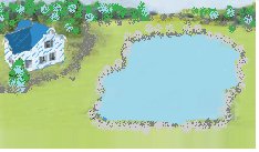Surveyor's diagram of a lake with labeled points and distances