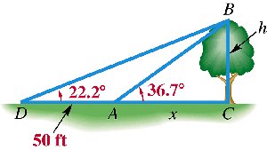 Diagram for tree height problem with two angles of elevation