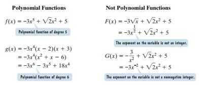 Polynomial vs Not Polynomial Functions