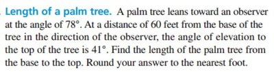 Palm tree word problem