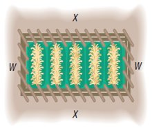 Rectangular enclosure with sides labeled x and w
