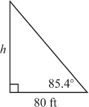 Right triangle with angle of elevation and horizontal distance
