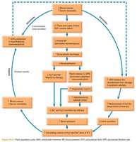 Fluid regulation cycle diagram