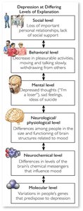 Levels of explanation for depression, from social to molecular
