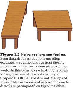 Shepard's tables illusion demonstrating naive realism