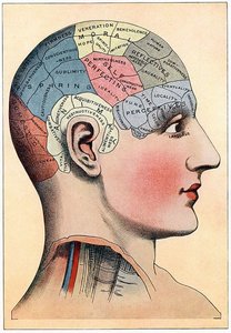 Phrenology chart showing areas of the skull linked to personality traits