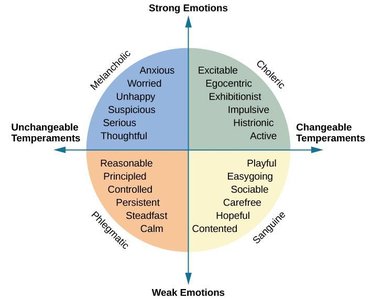 Diagram of Wundt's axes of personality