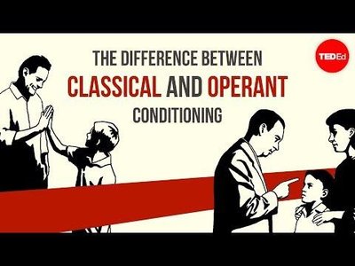 Classical vs operant conditioning comparison