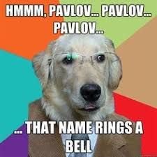 Pavlov meme about classical conditioning