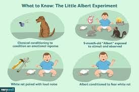 Little Albert Experiment summary