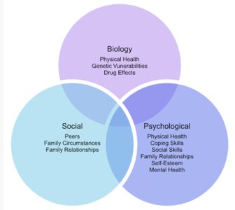 Bio-Psycho-Social Model Venn Diagram