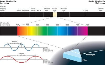 Electromagnetic spectrum and visible light