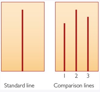 Asch line judgment task