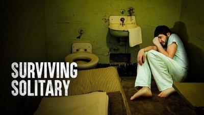 Person in solitary confinement, Surviving Solitary