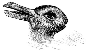 Duck-Rabbit illusion