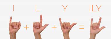 Sign language for 'I love you'