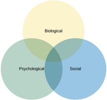 Venn diagram showing the interaction of biological, psychological, and social factors in health