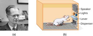 Skinner box used in behaviorist research