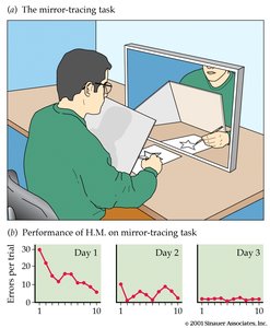 Mirror-tracing task and H.M.'s performance