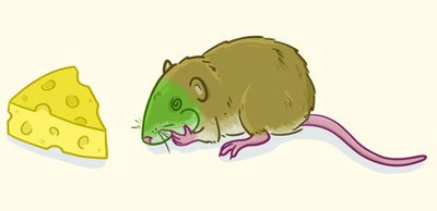 Illustration of a rat and cheese, representing biological preparedness