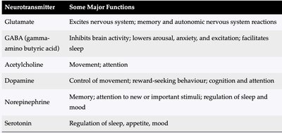 Table of neurotransmitters and their functions