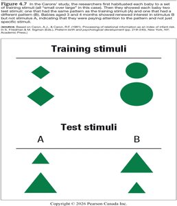Stimuli used in infant pattern recognition research