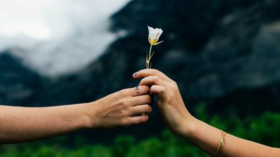 One person giving a flower to another, illustrating the pregiving technique
